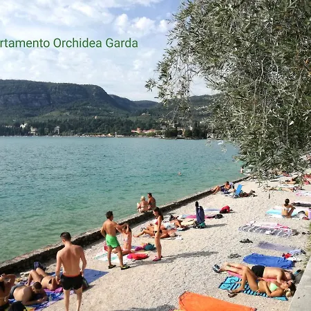 Orchidea Garda