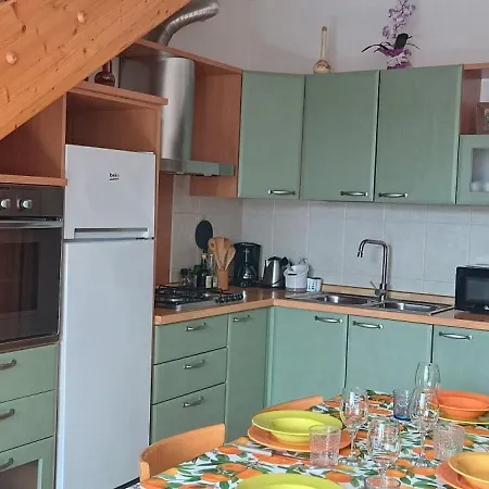 Orchidea