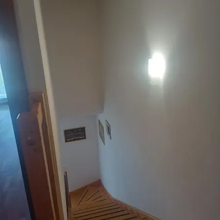 Orchidea Garda (Verona)